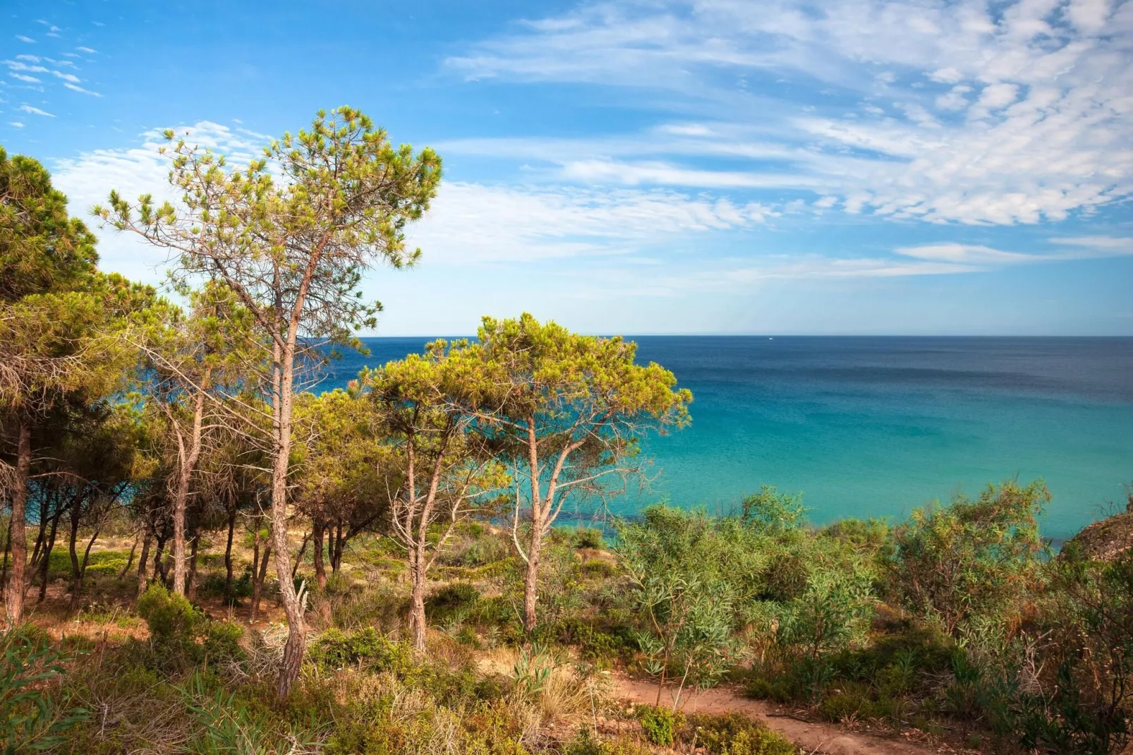 BAIA DELLE PALME  Bilo 4 premium-Water view