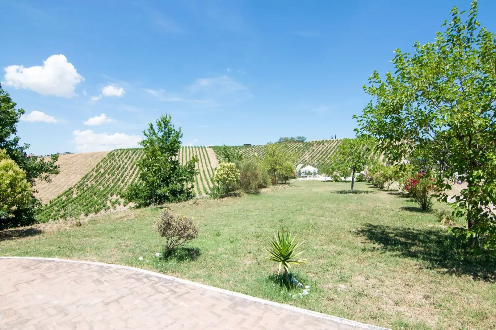 Ortica Studio-View summer