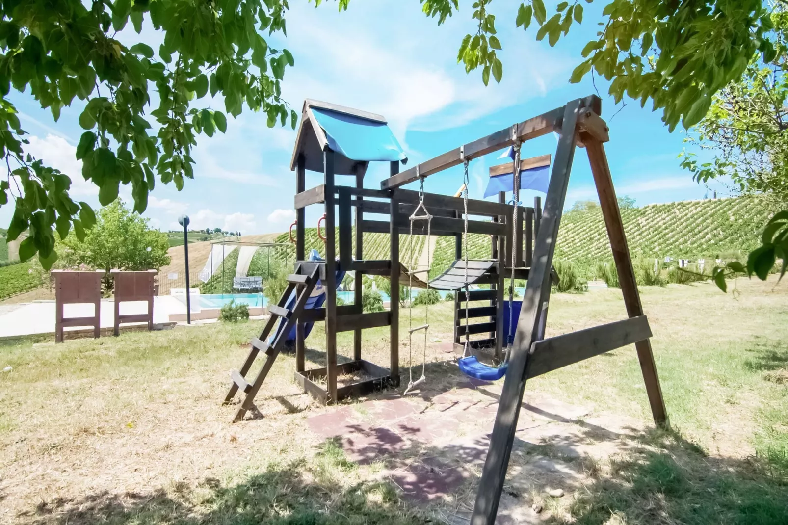 Viola-Jardins en été