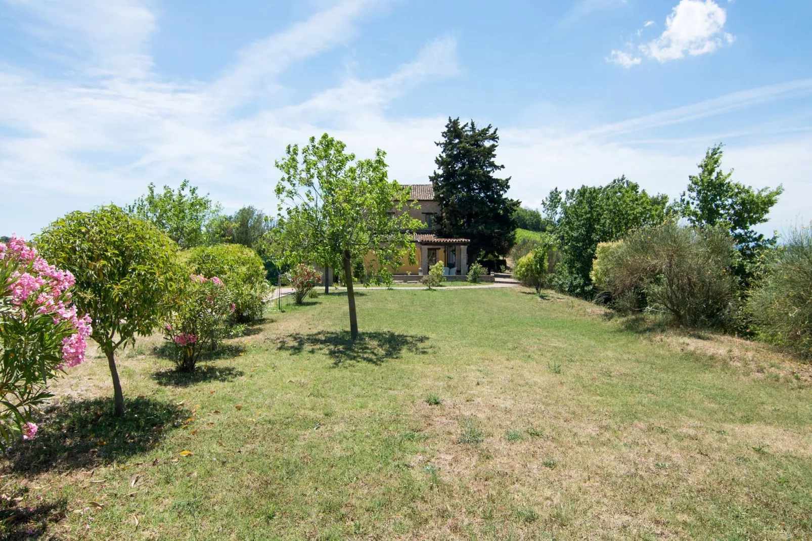Gardenia-View in summer