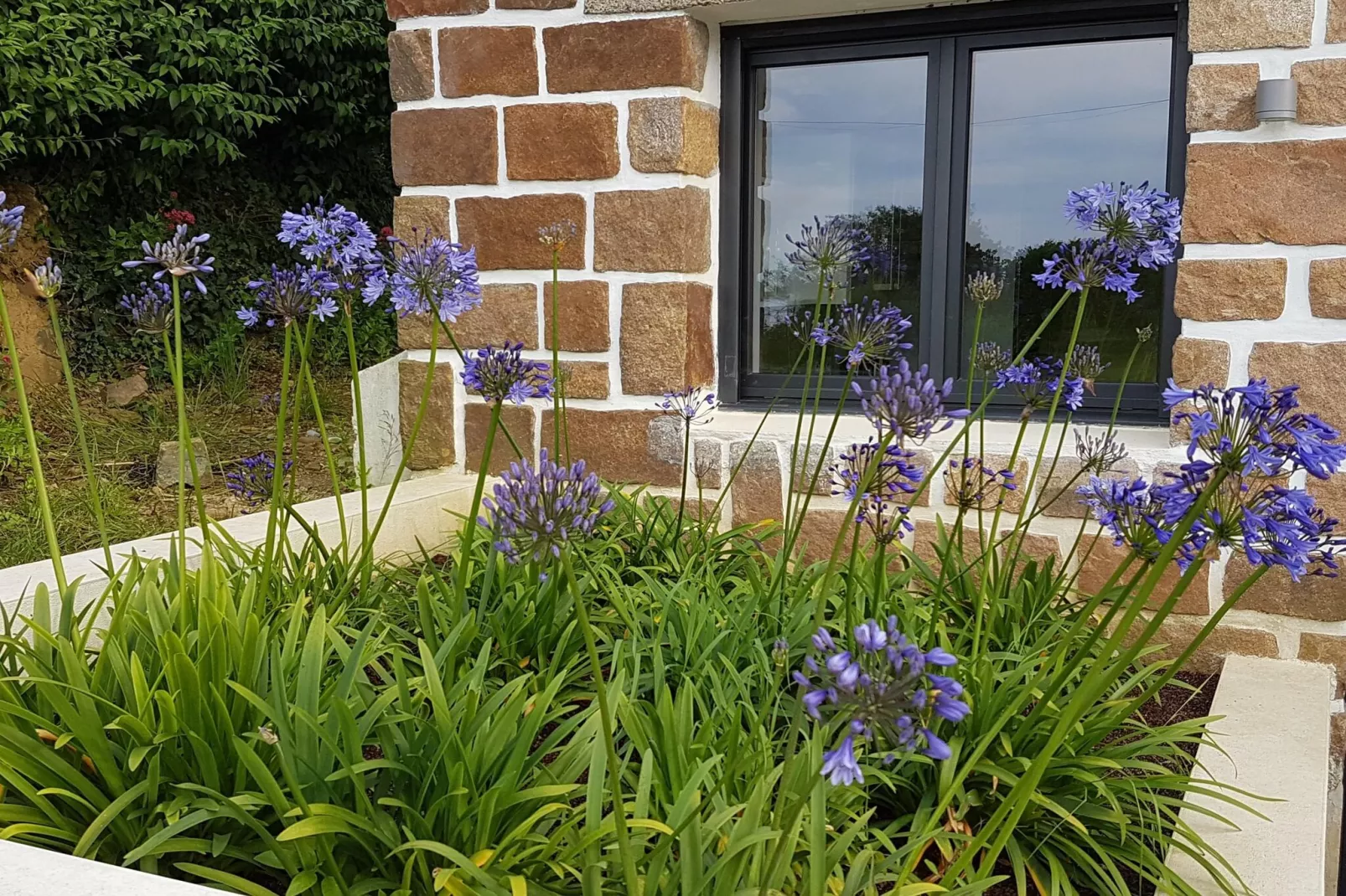 Holiday home Plougasnou-Außenbereich Sommer