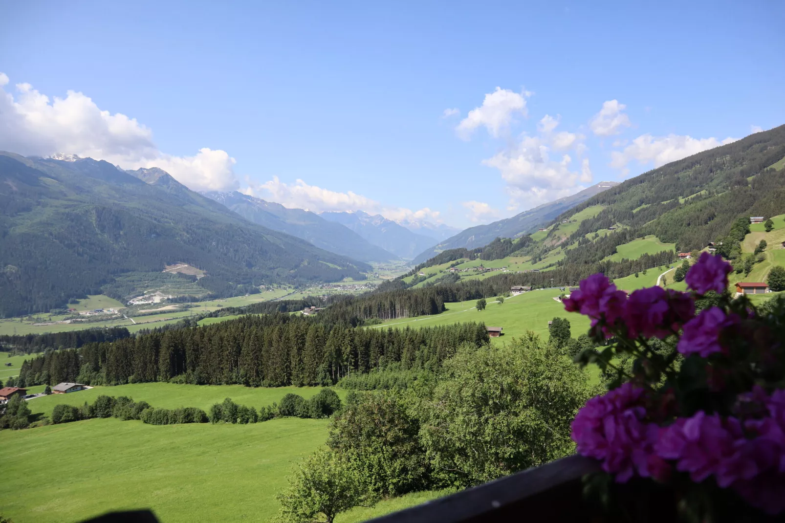 Motzerngut-View summer