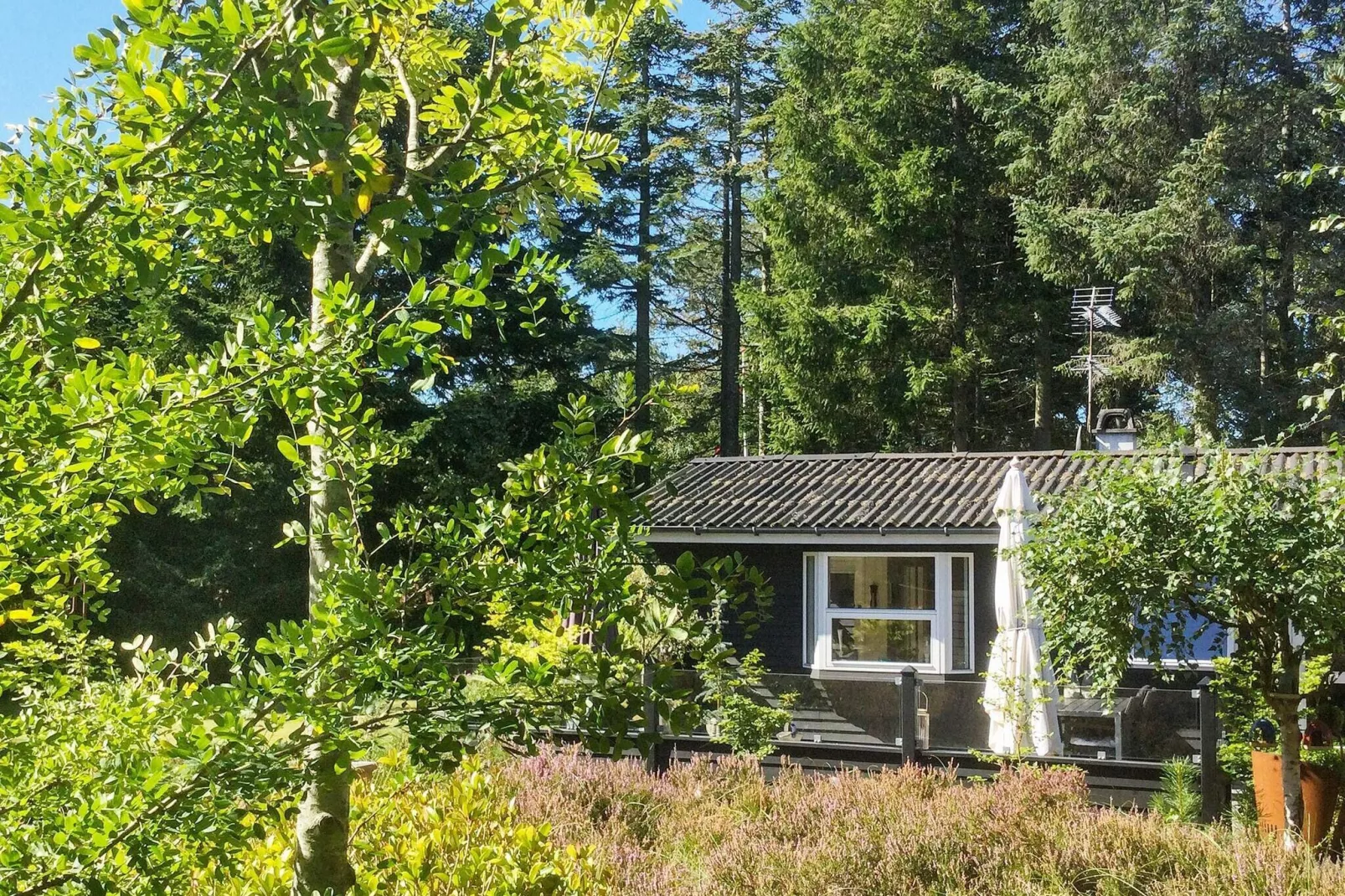 4 person holiday home in Hals-By Traum-Outdoor