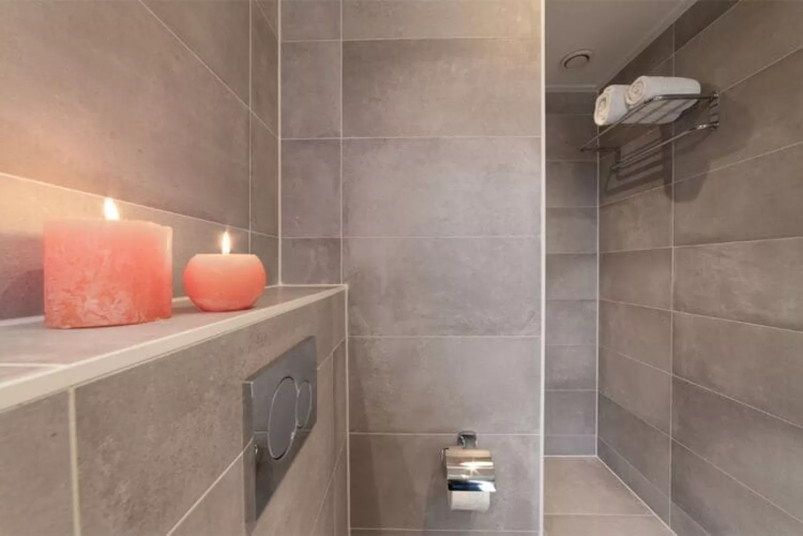 6 persoons vrijstaand met sauna/hond-Bathroom
