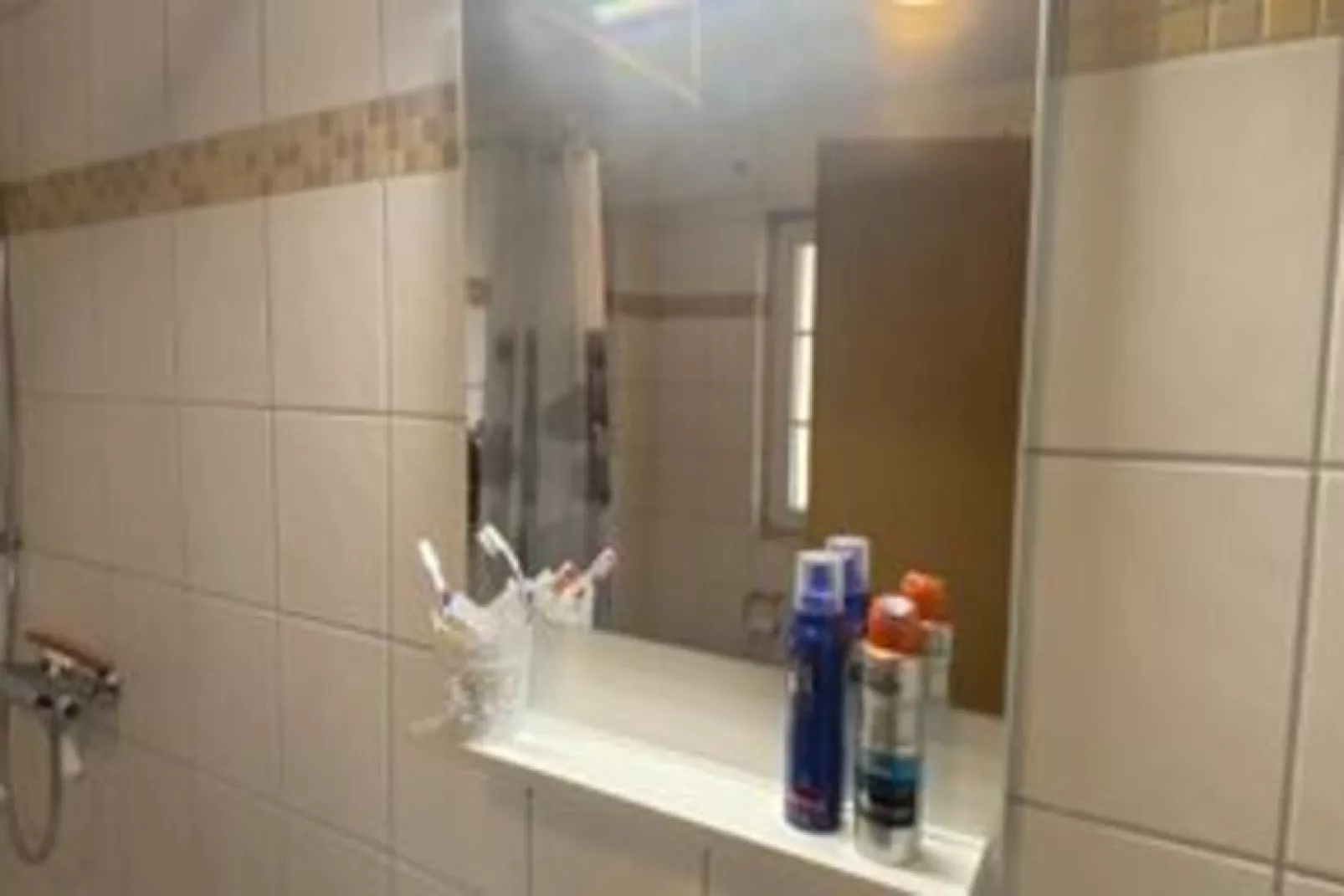 DHH Bernsteinhaus links-Bathroom