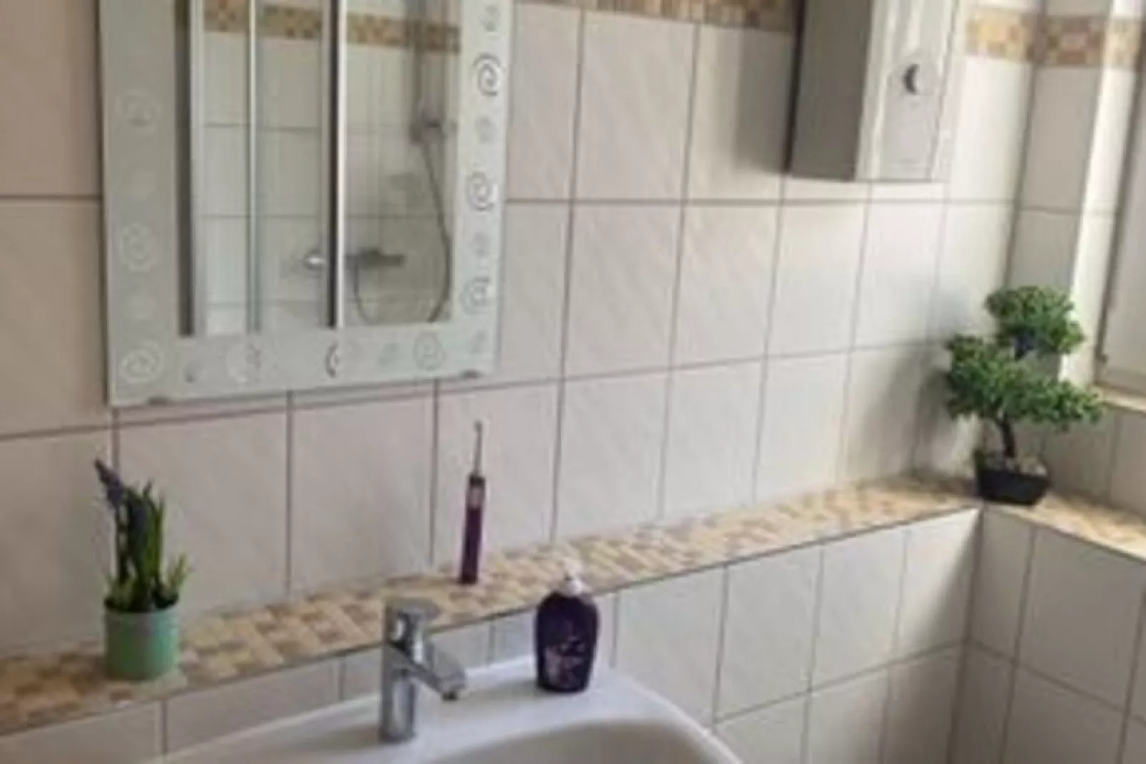 DHH Bernsteinhaus links-Bathroom