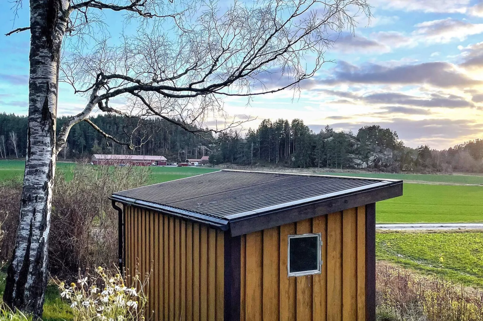 Maison de vacances pour 4 a VITTBOLANDET-By Traum-Extérieur