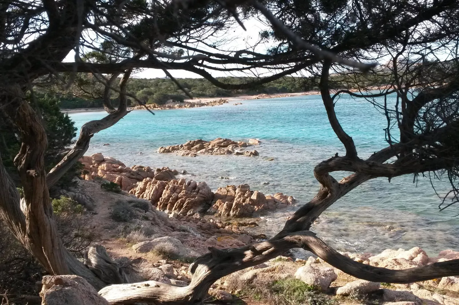 Apartments Cannigione - Type Monolocale Paradise-Areas summer 1km