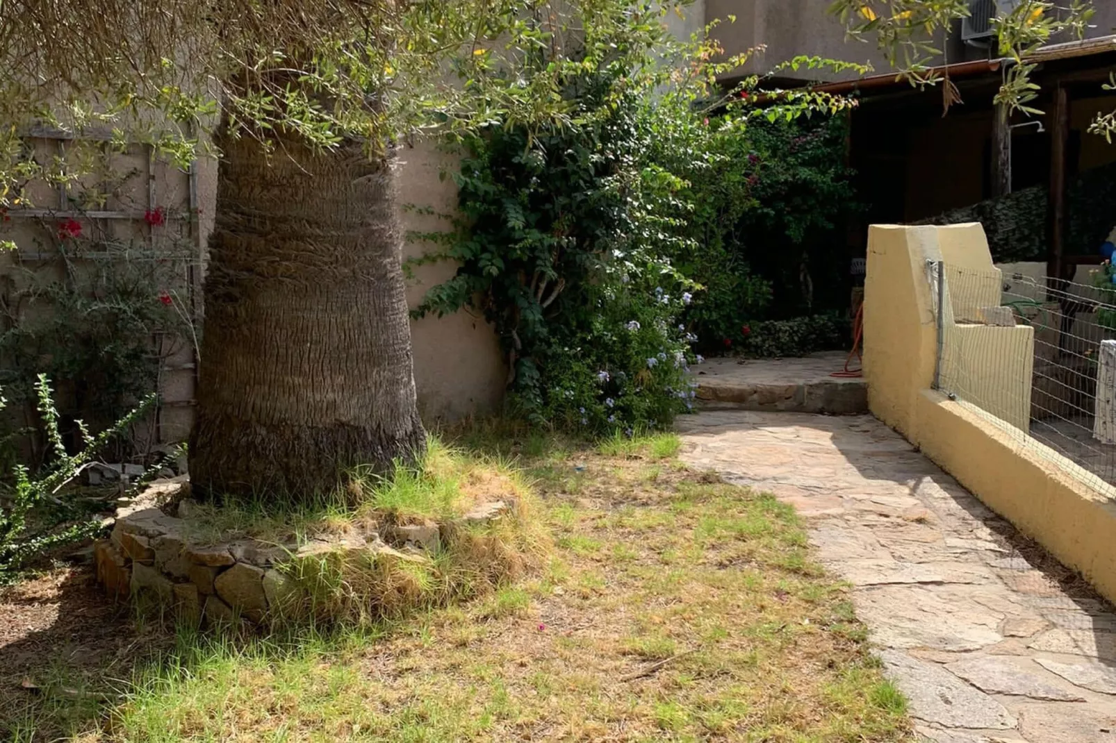 Residence il Borgo Trilocale il Pino-Gardens summer