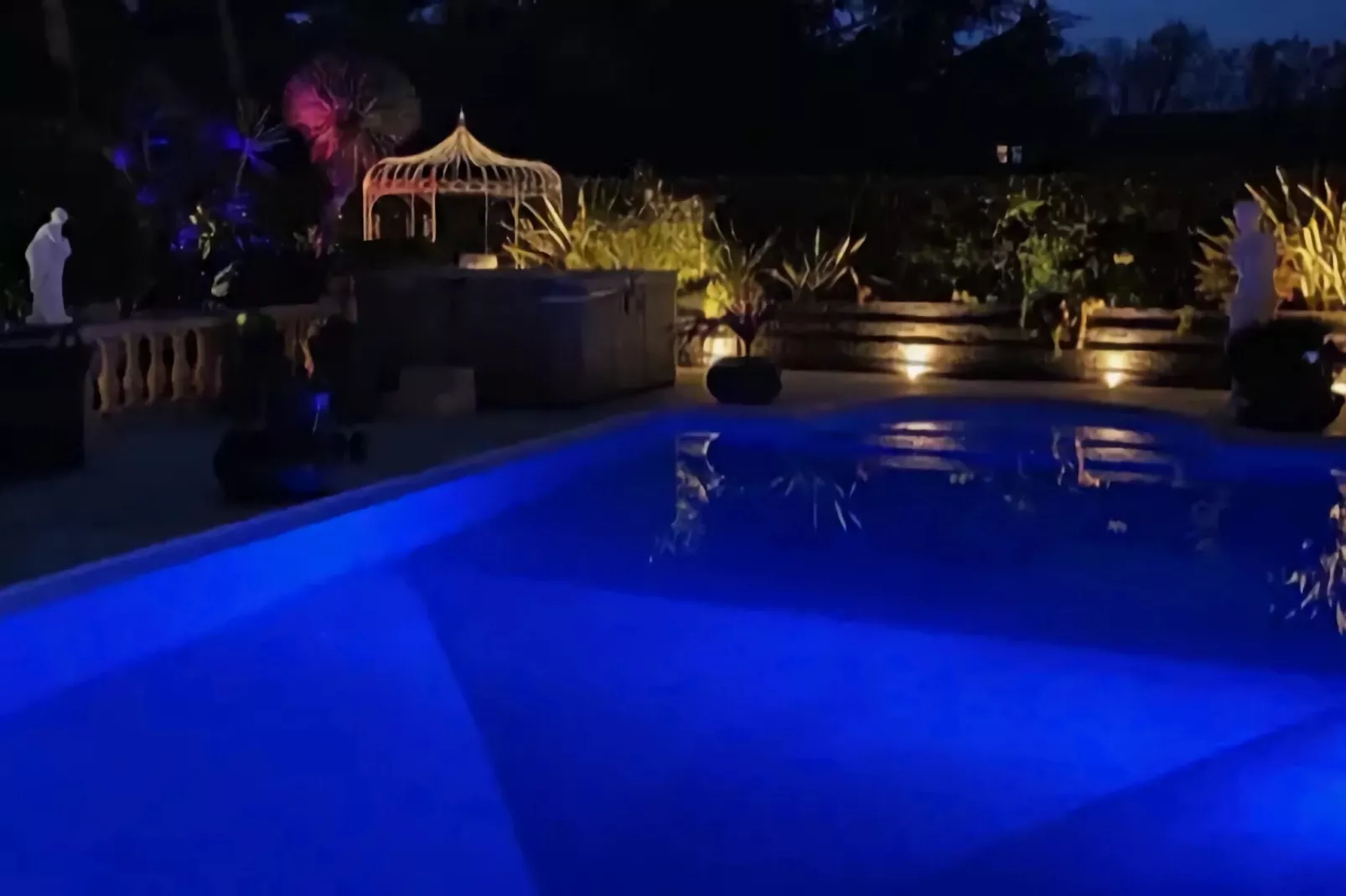 Palmiers-Pool