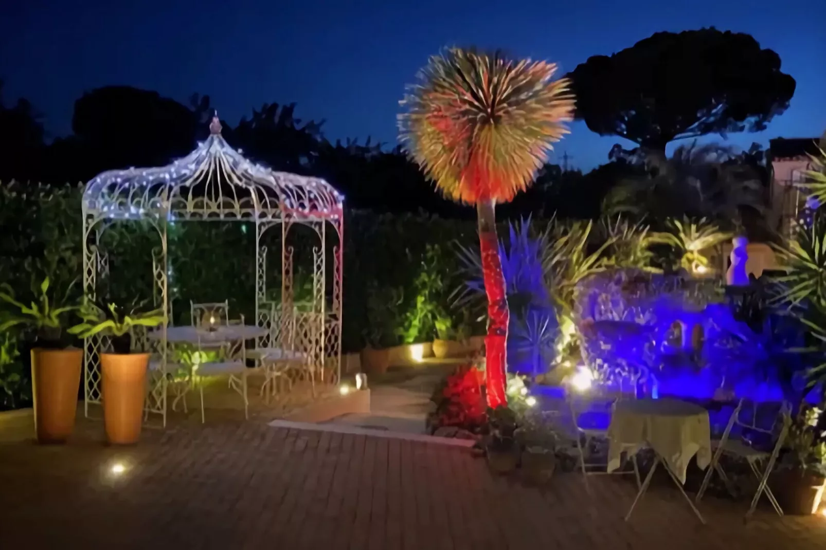 Palmiers-Exterior summer