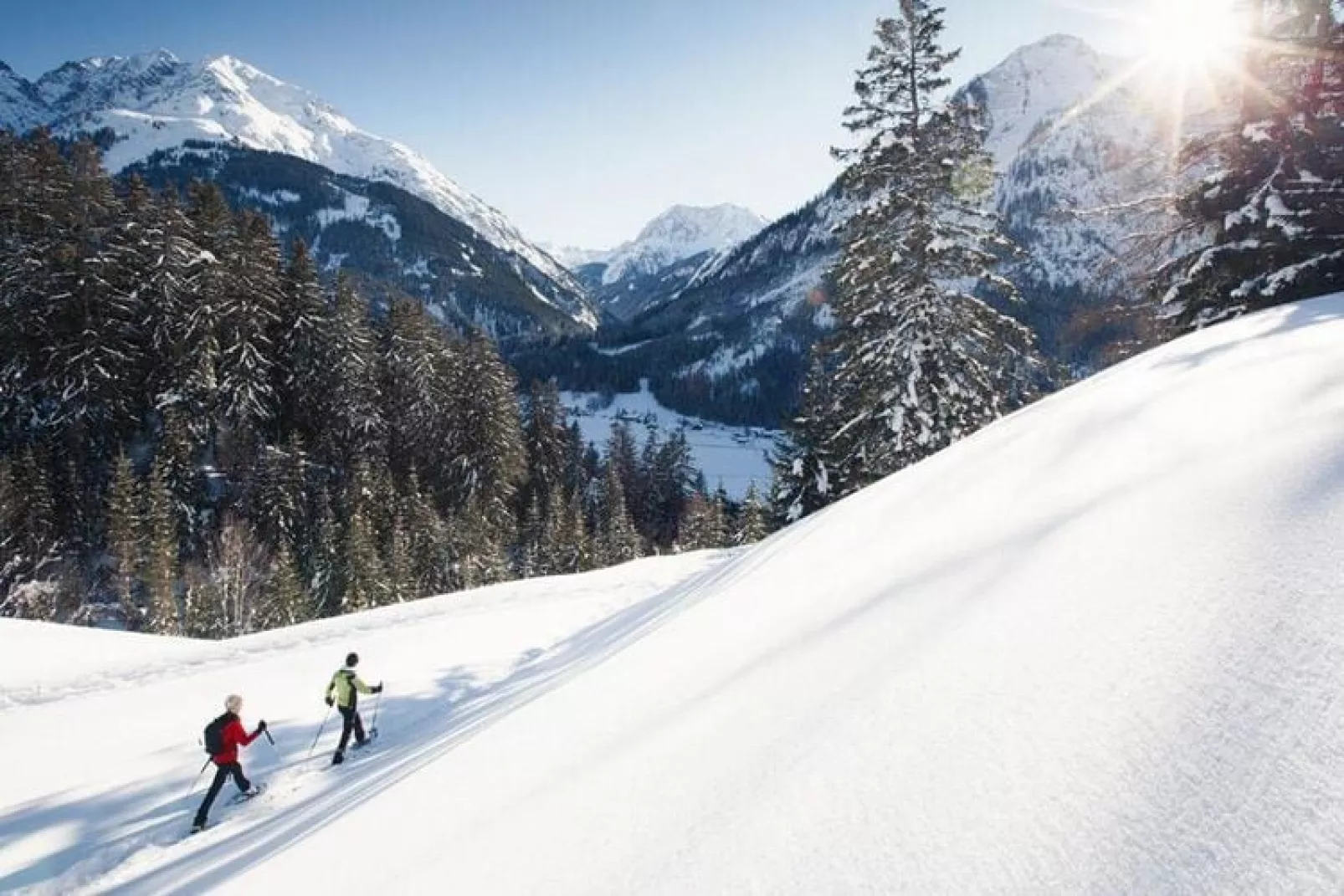 Haus Schedler - Wiesenblick-Area winter 5km