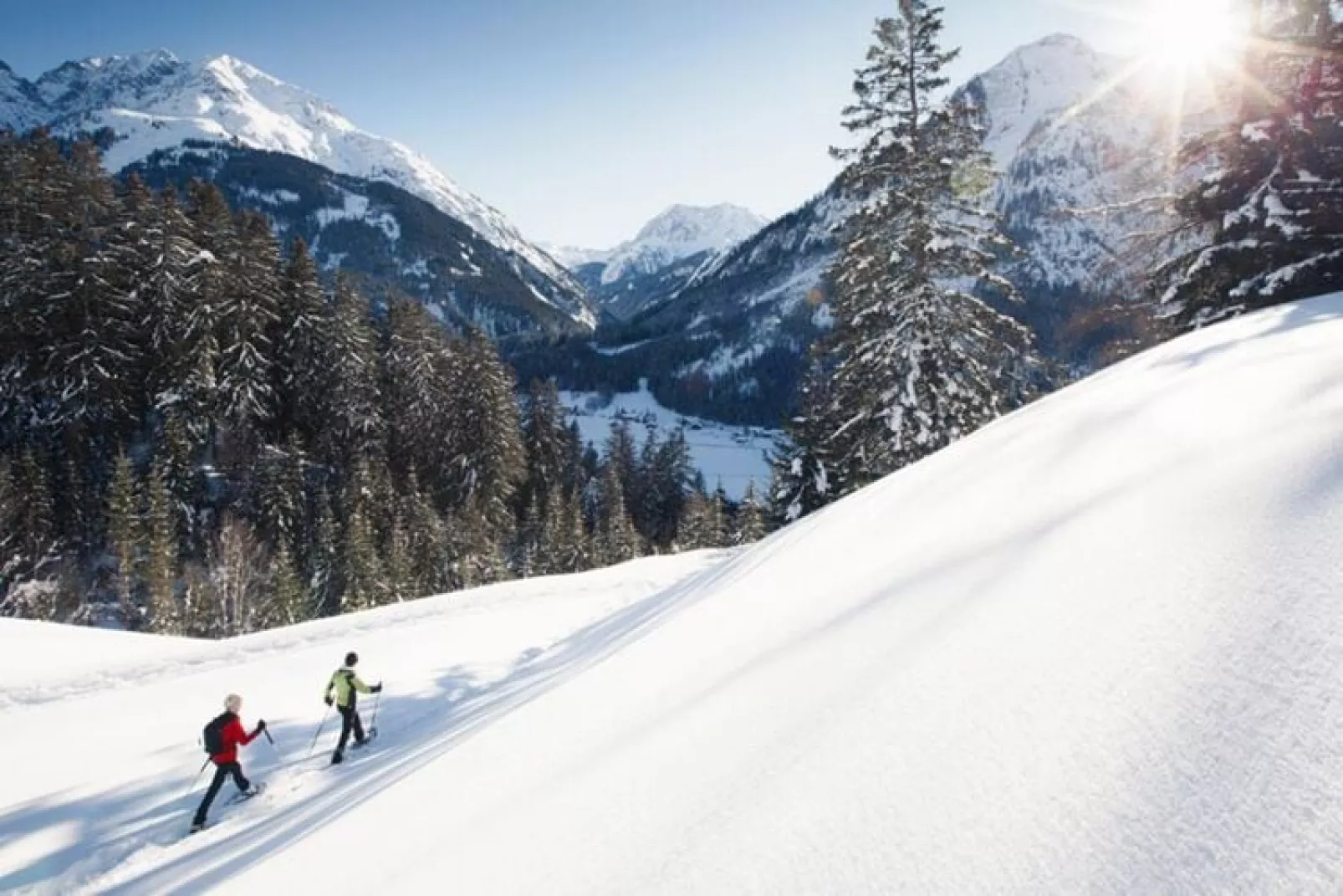 Haus Schedler - Gipfelblick-Area winter 5km