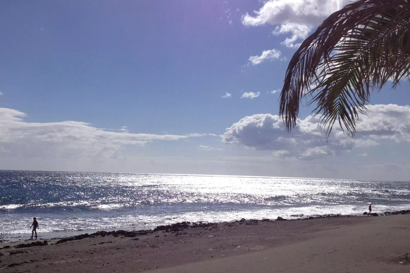 Apto Papagayo / 1-2 personas-Gebiete Sommer 1 km