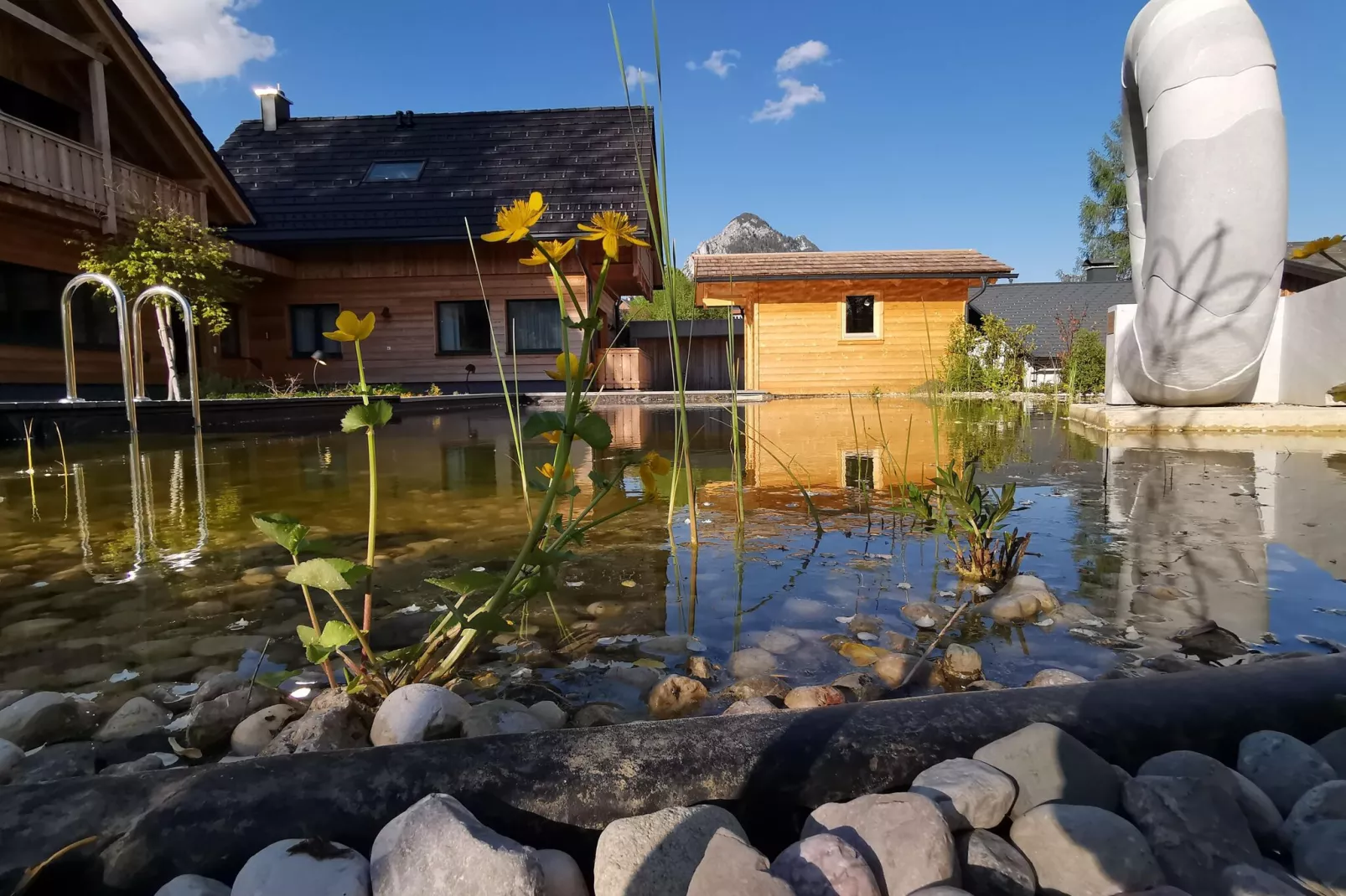 Chalet Tauplitz-Pool