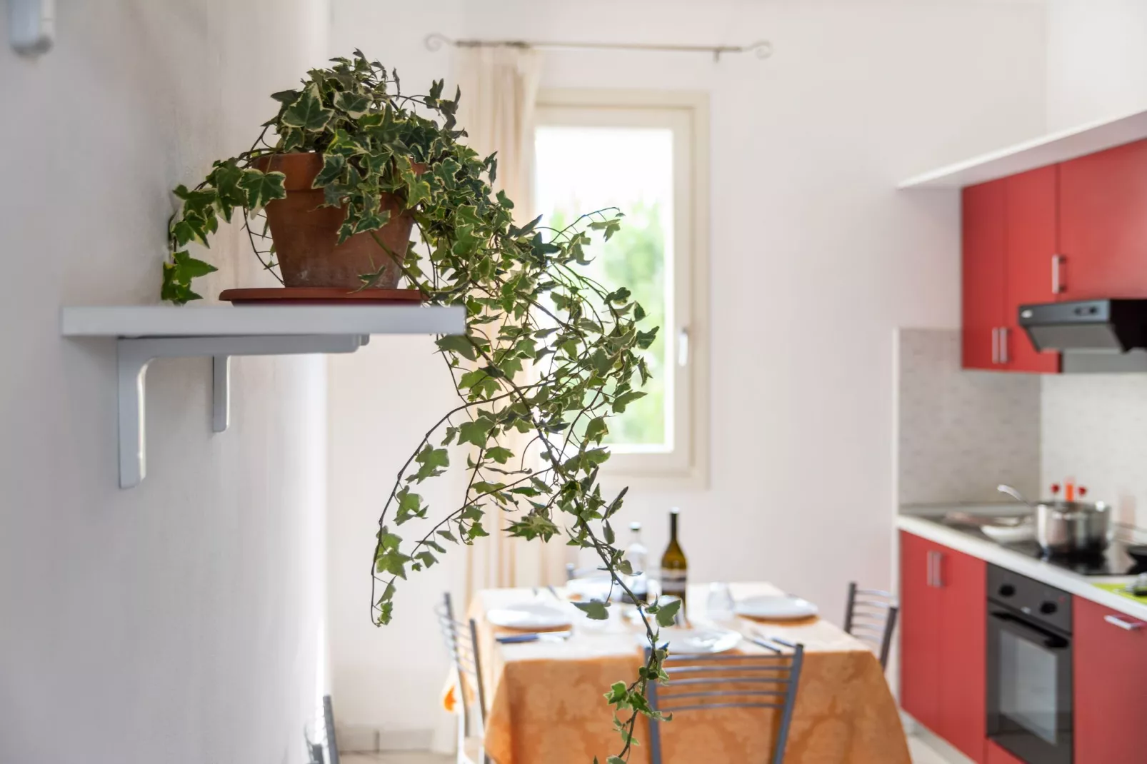 Adriatico Deluxe-Kitchen