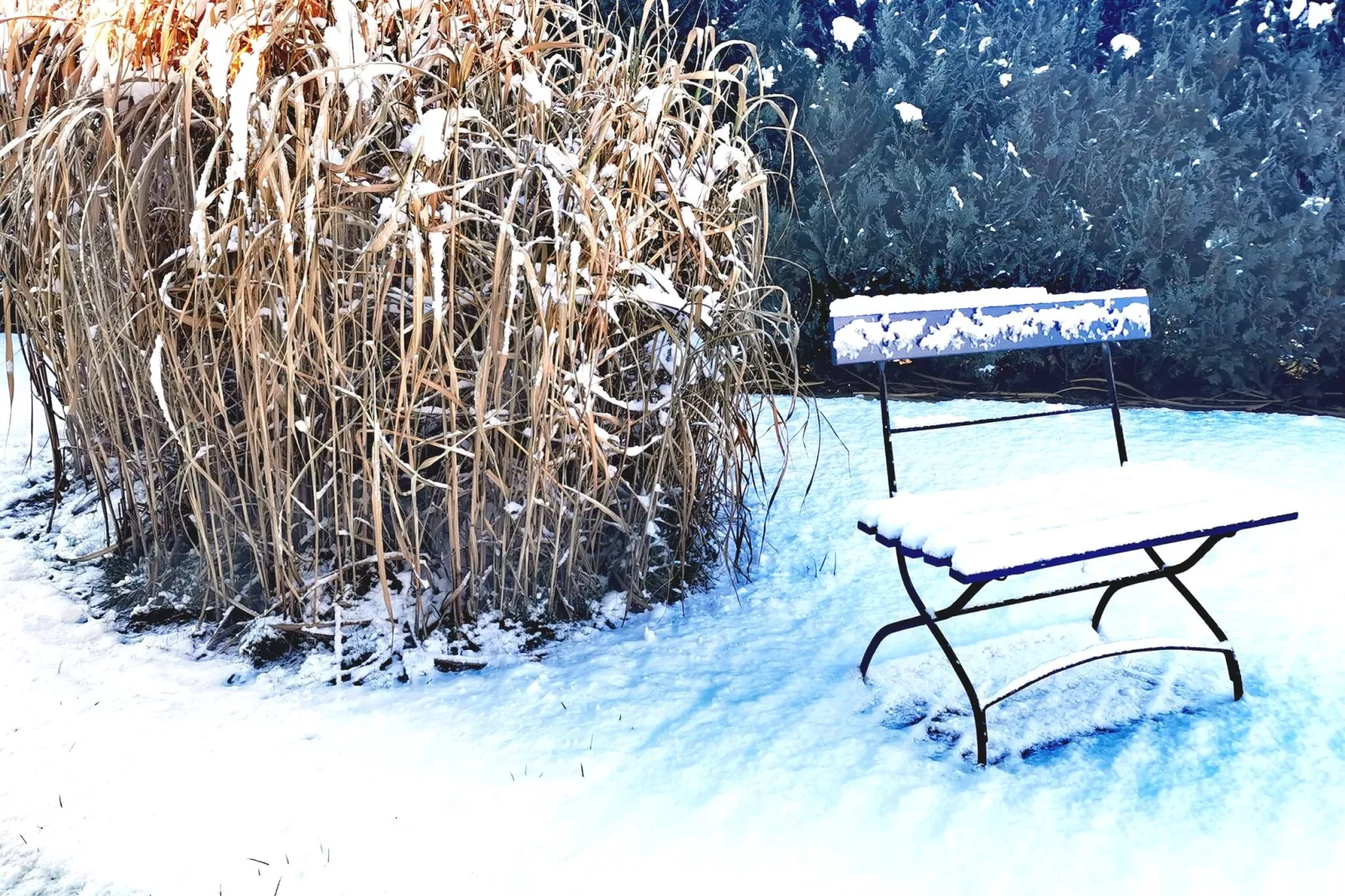 Ferienwohnung Rügenblick-Garden winter
