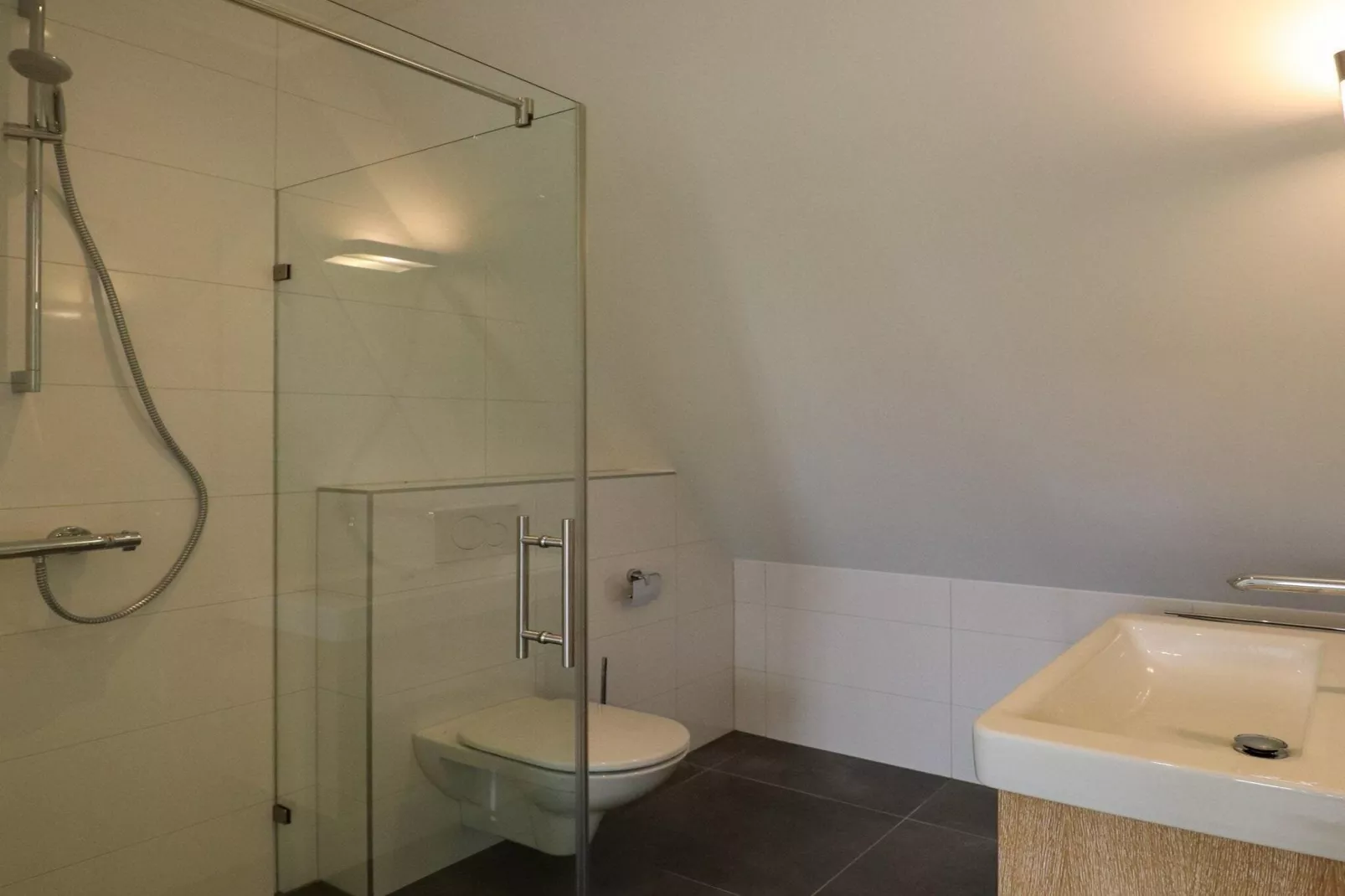 Friese Meren Villa's 20-Bathroom