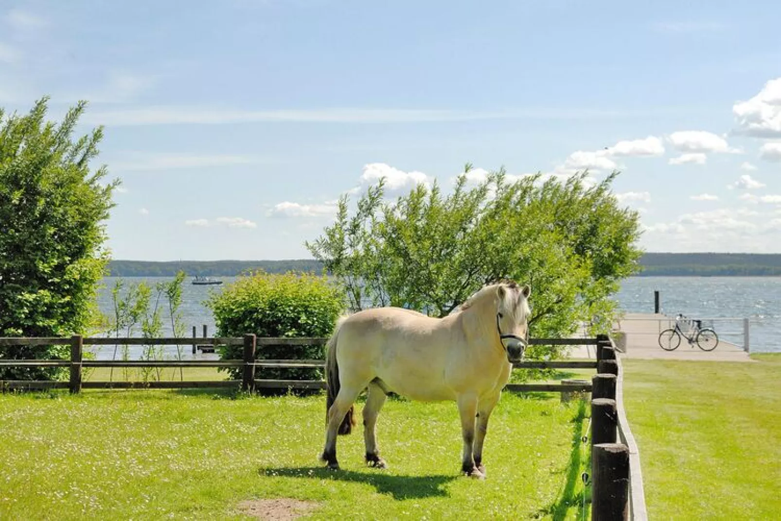 Terrasse 1 - Best Price 37 qm-Water view
