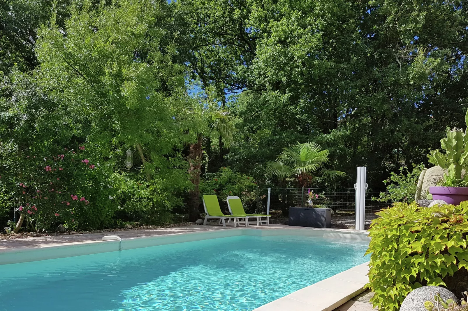 Les Chênes- SAINT-BRÈS-Pool