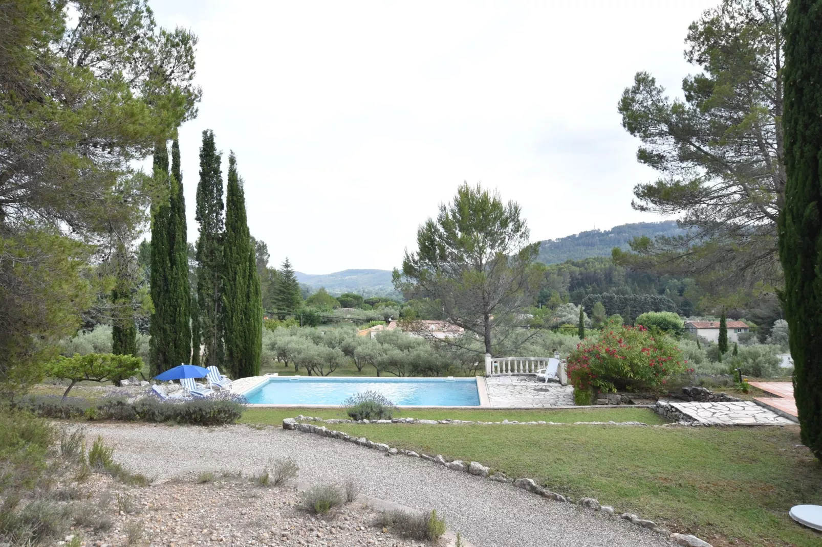 Lomandra-Aussicht Sommer