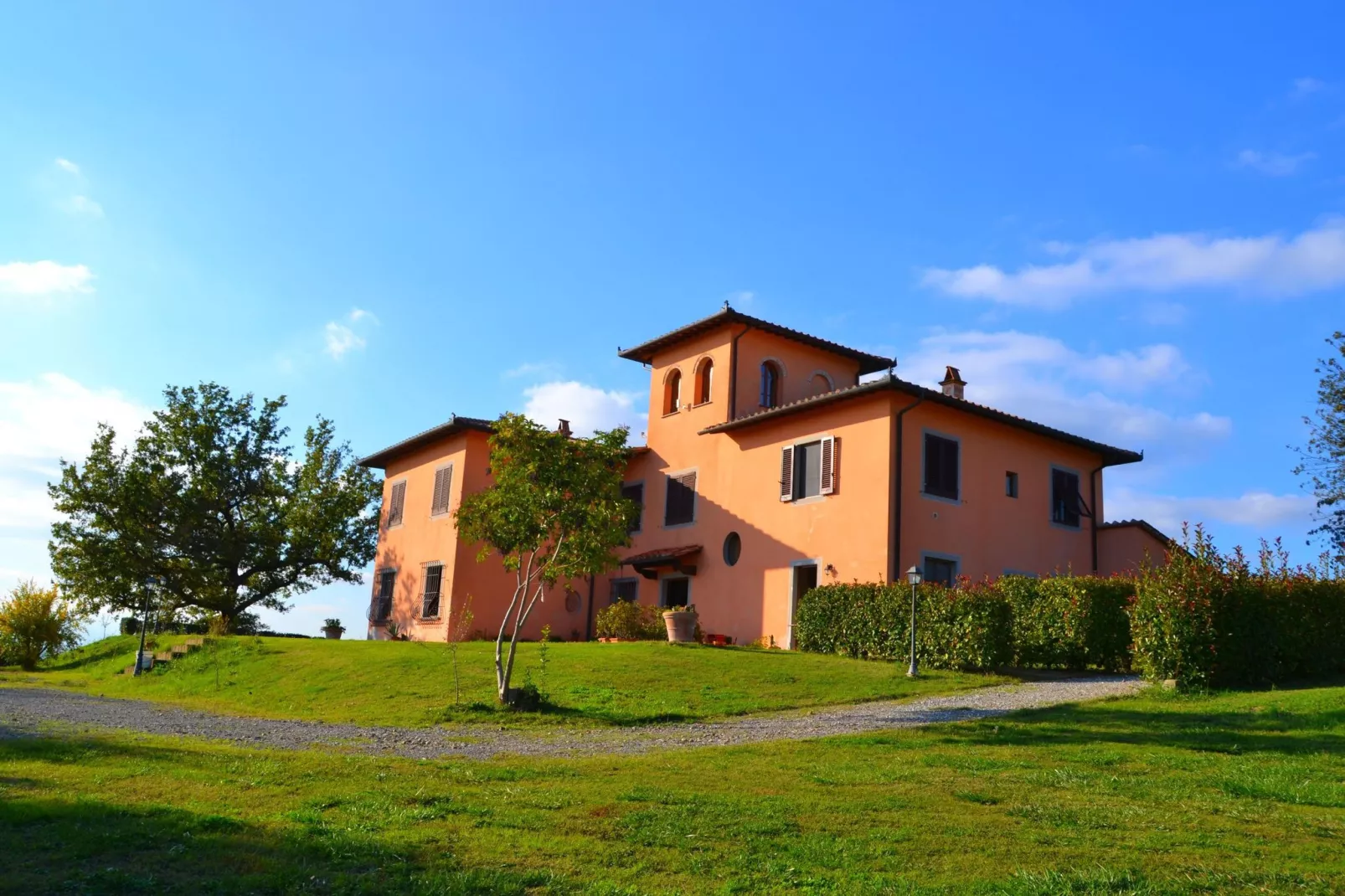 Papavero-Exterior summer