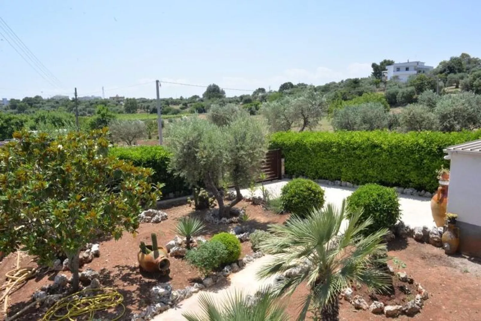 Trullo Cittadino Cisternino-Gardens summer