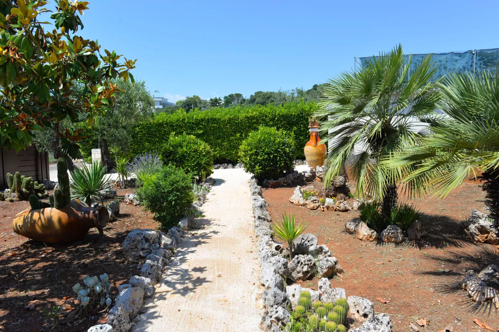 Trullo Cittadino Cisternino-Gardens summer