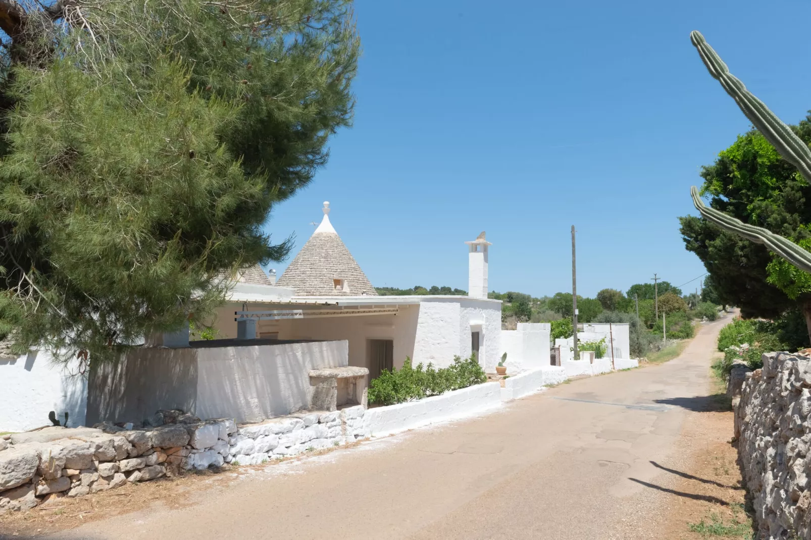 Trulli di Nonno Marco Cisternino-Exterior summer