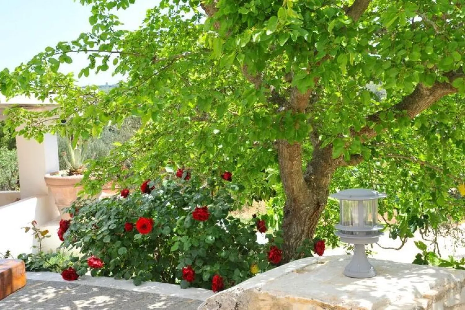 Tenuta Bianca Ostuni-Jardin d'été
