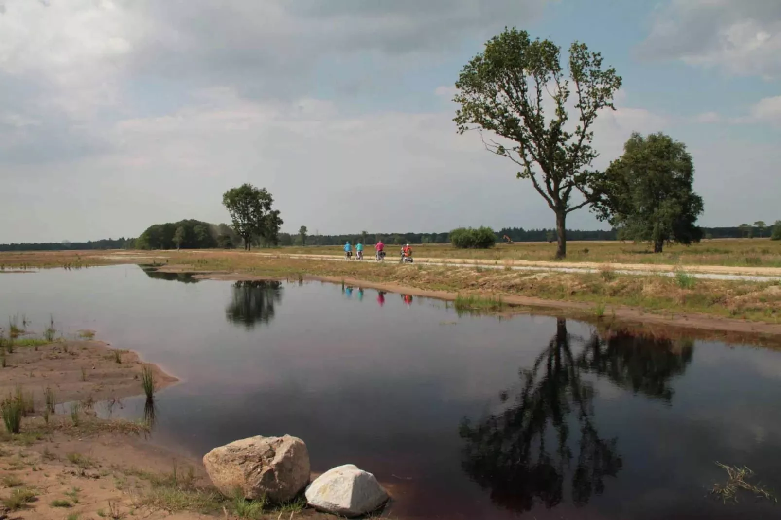 Natuurhuis Dichtbij-Areas summer 5km