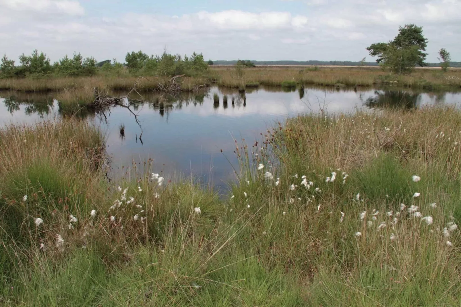Natuurhuis Dichtbij-Areas summer 5km