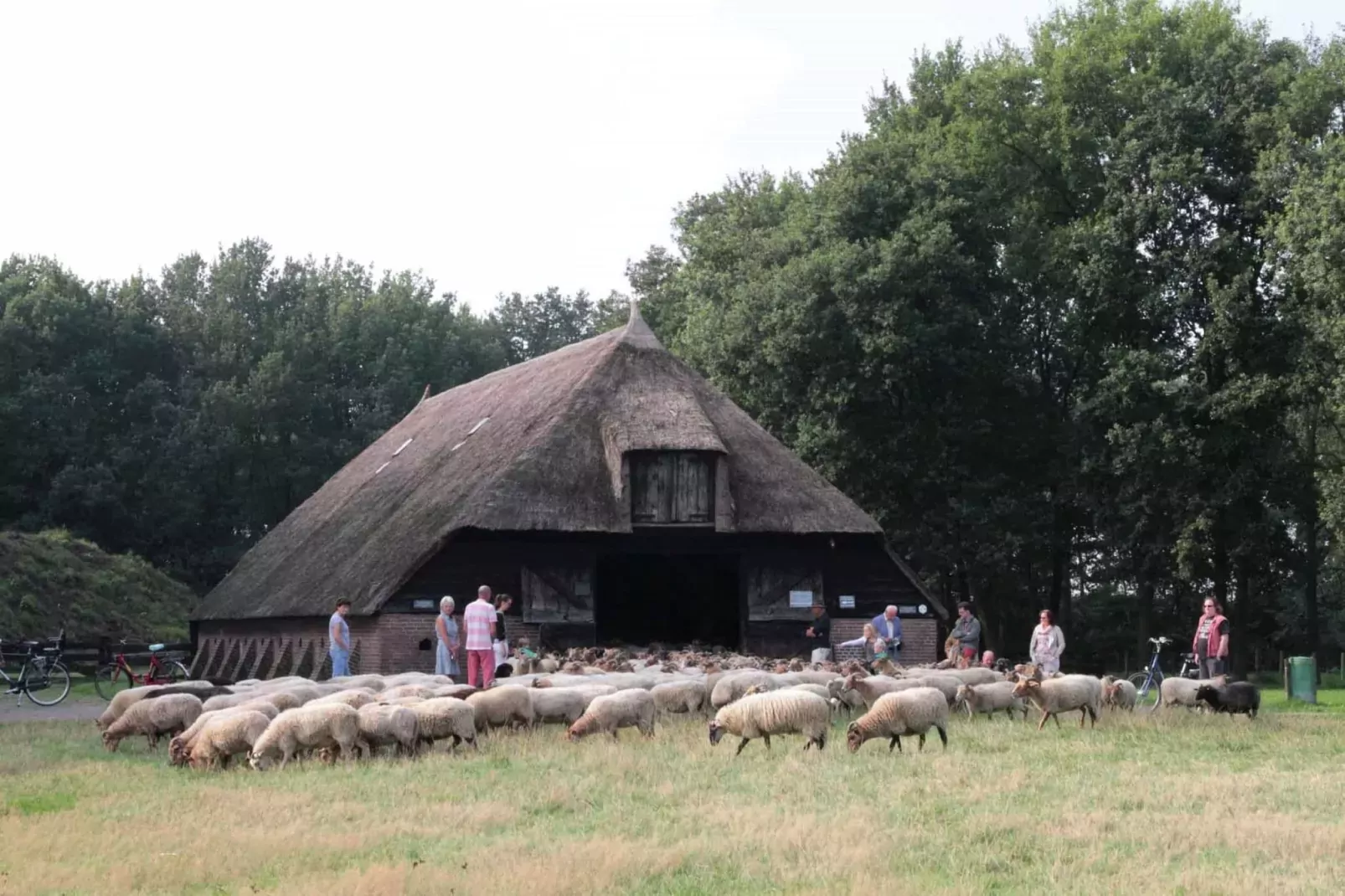 Natuurhuis Dichtbij-Areas summer 20km