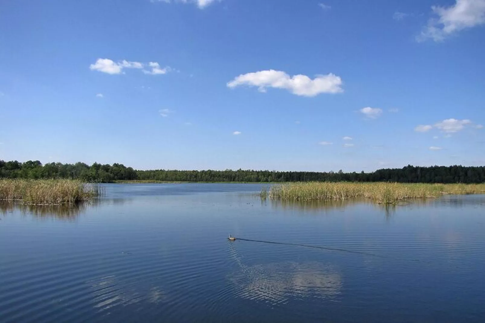 Holiday home Wilkasy-Water view