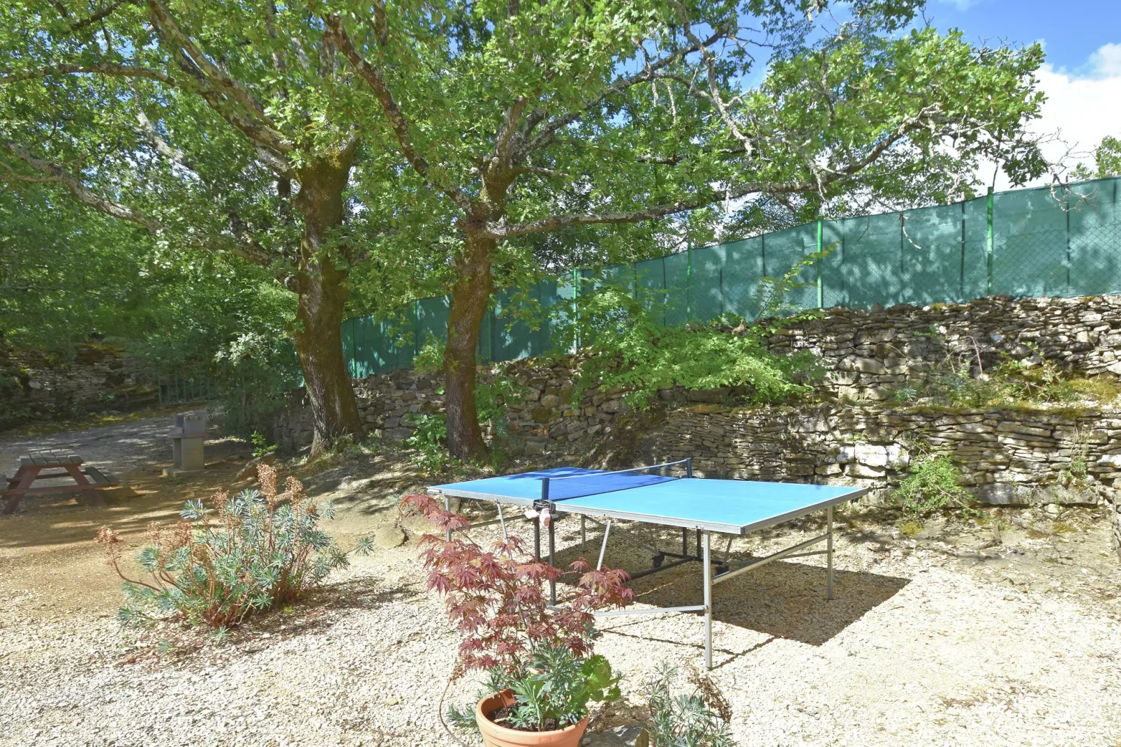 Les Chênes- SAINT-BRÈS-Gardens summer