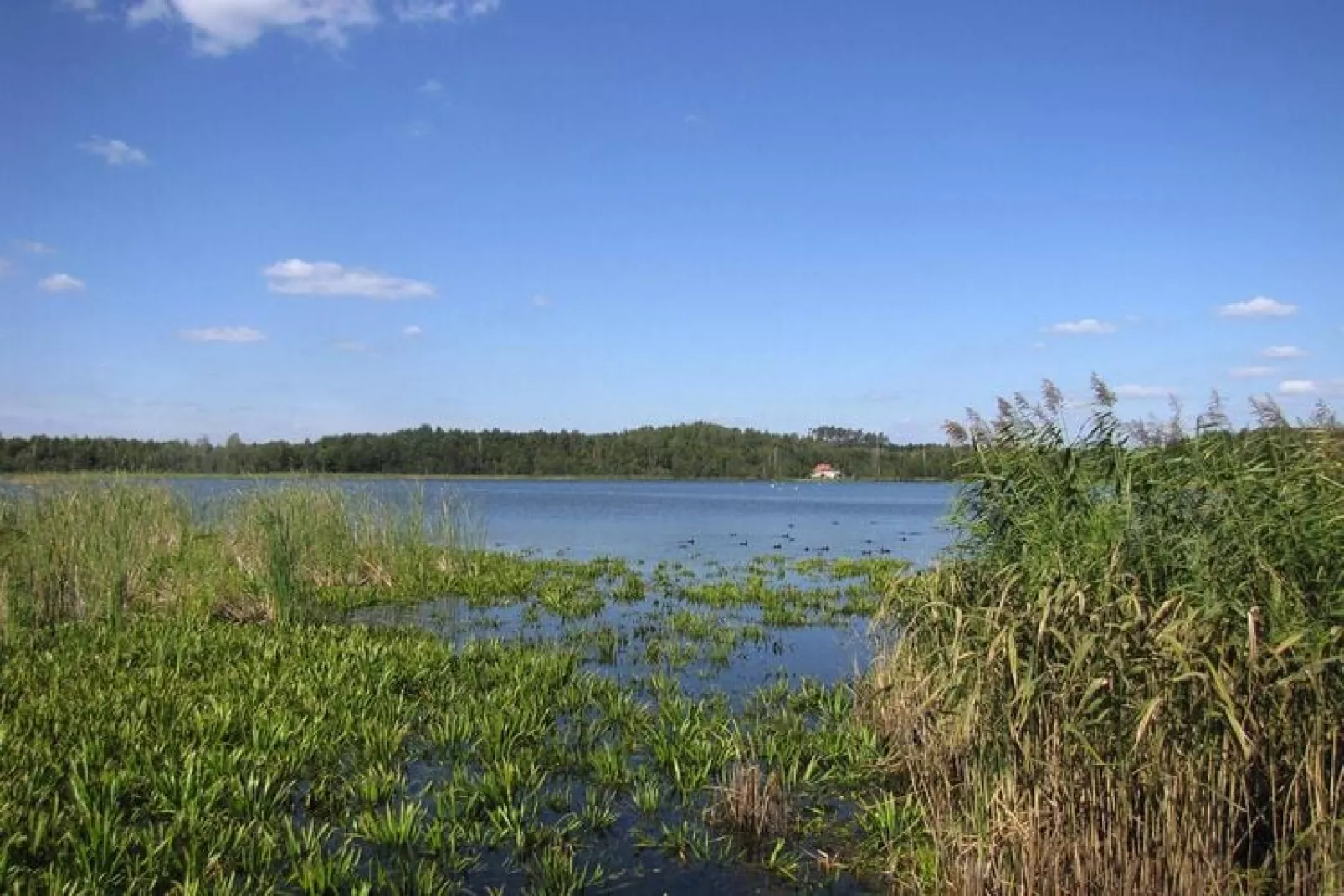 Holiday home Wilkasy-Water view
