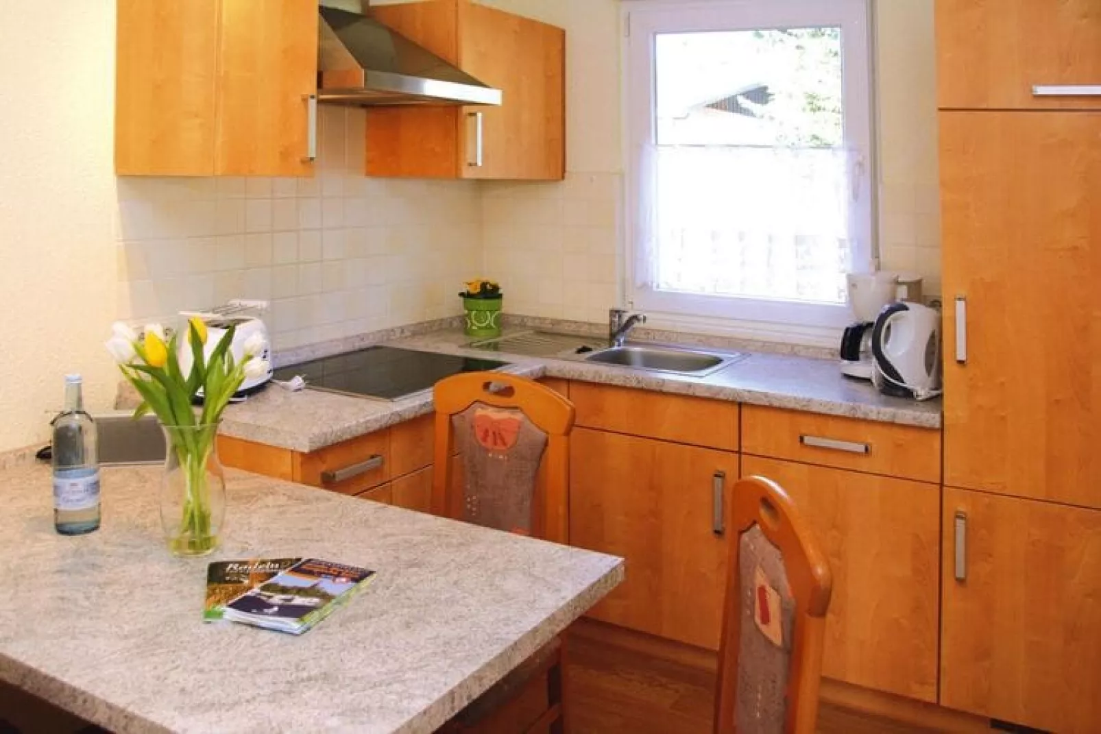 Terrasse 2 - Best Price 45 qm-Kitchen