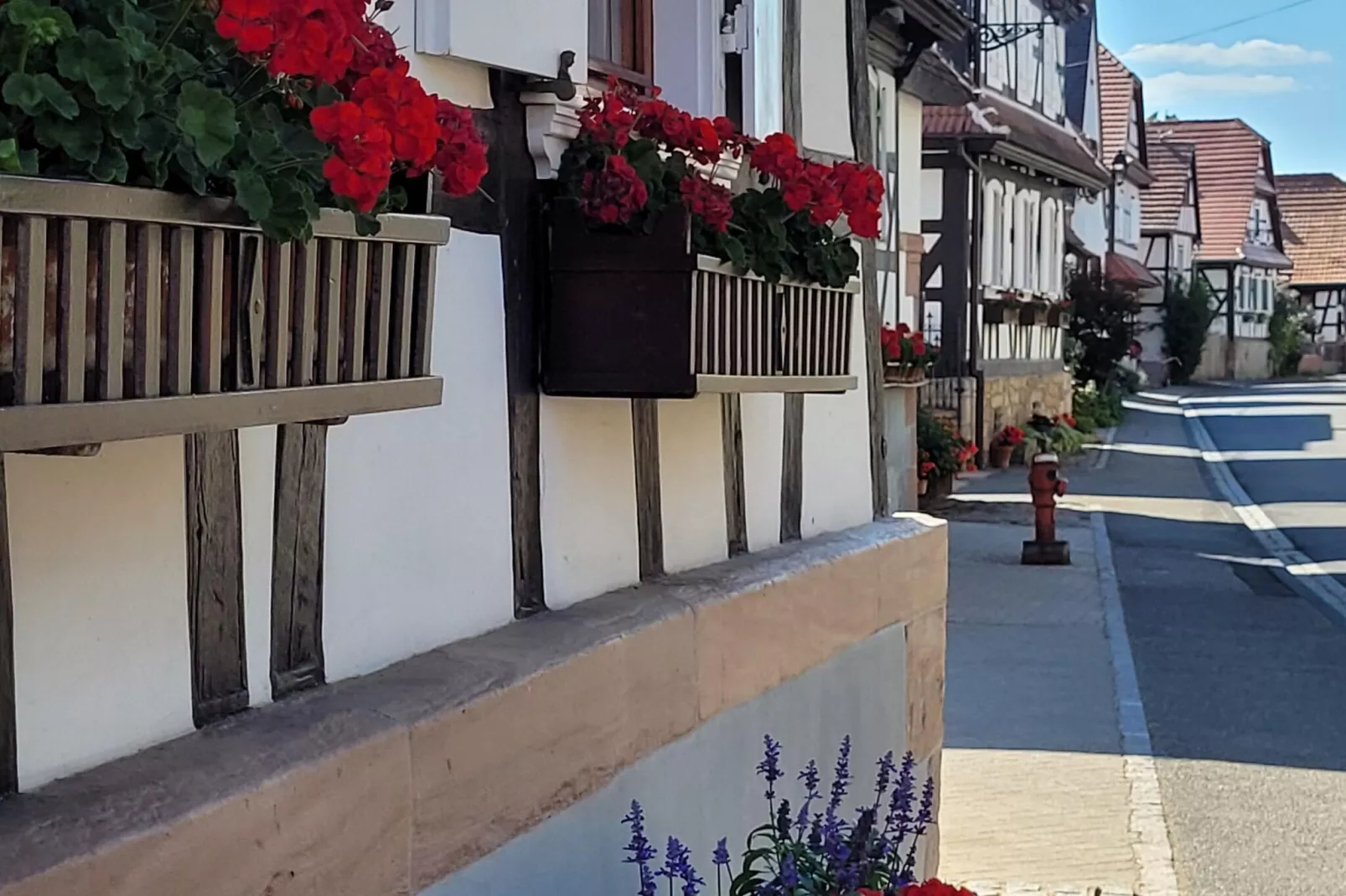 Maison de vacances - SCHLEITHAL-Ambiance