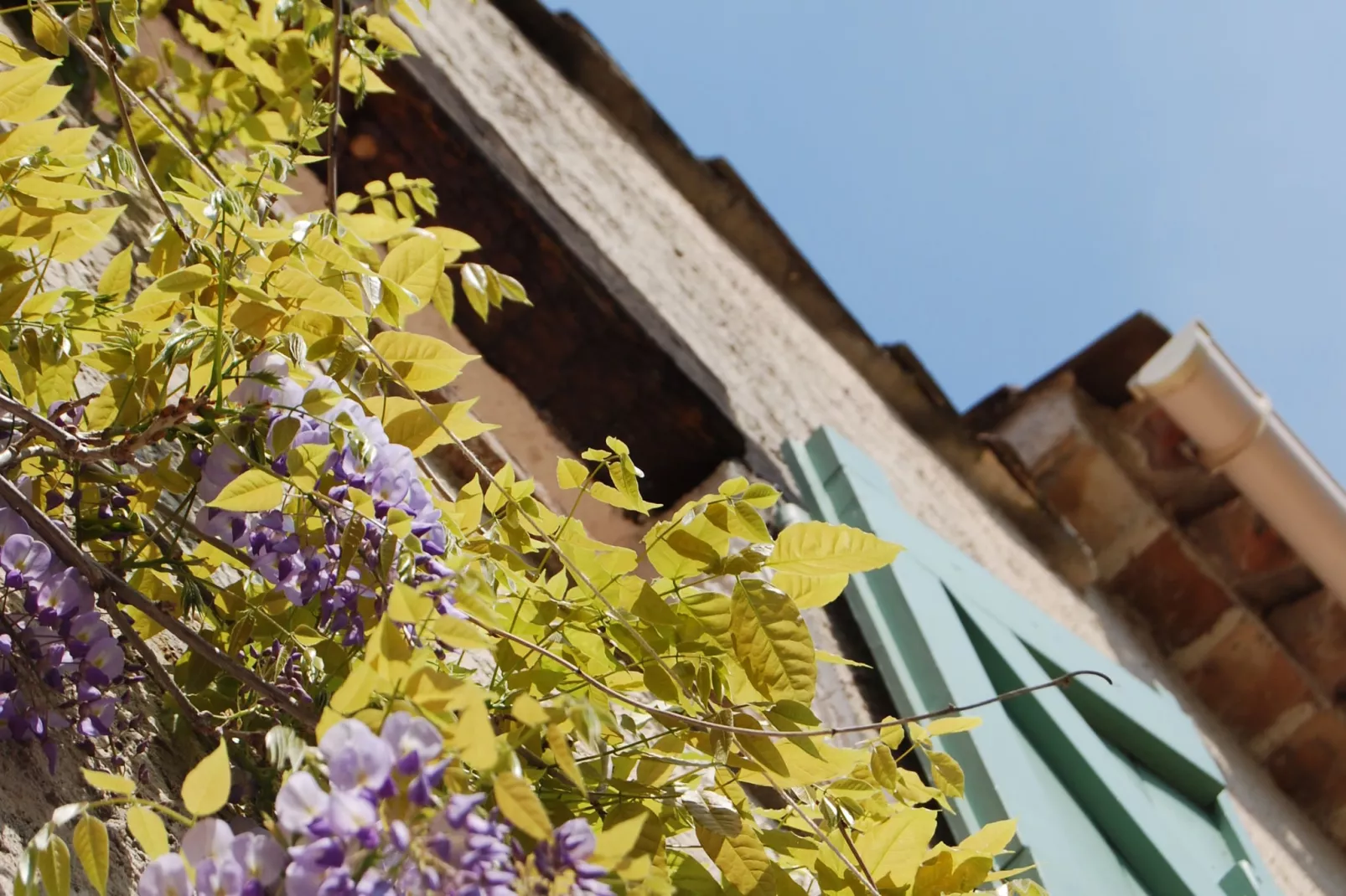 Bergerie Caseneuve-Exterior summer
