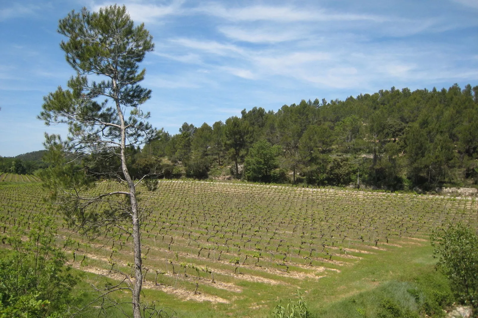Bergerie Caseneuve-Areas summer 5km