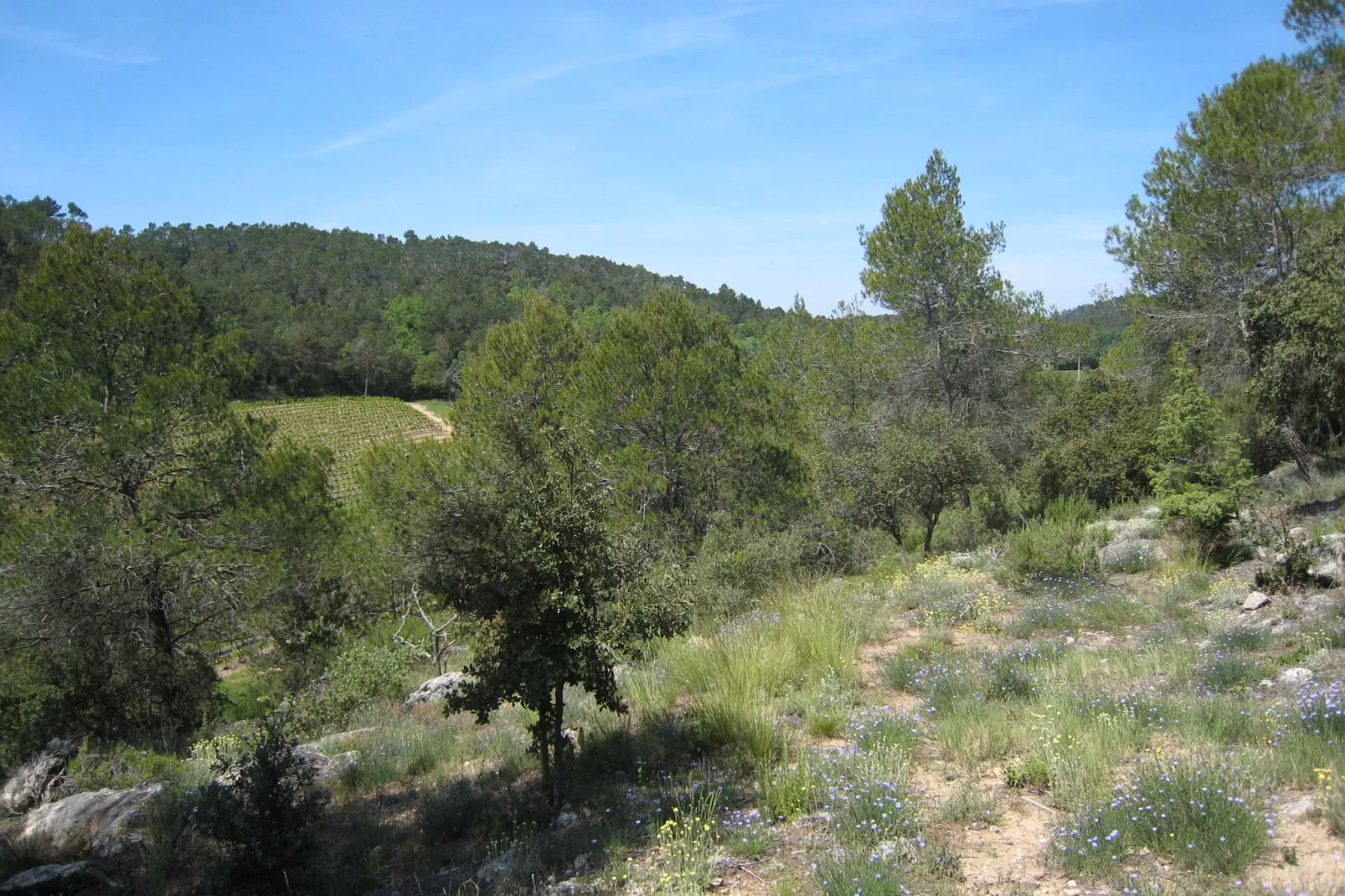 Bergerie Caseneuve-Areas summer 5km