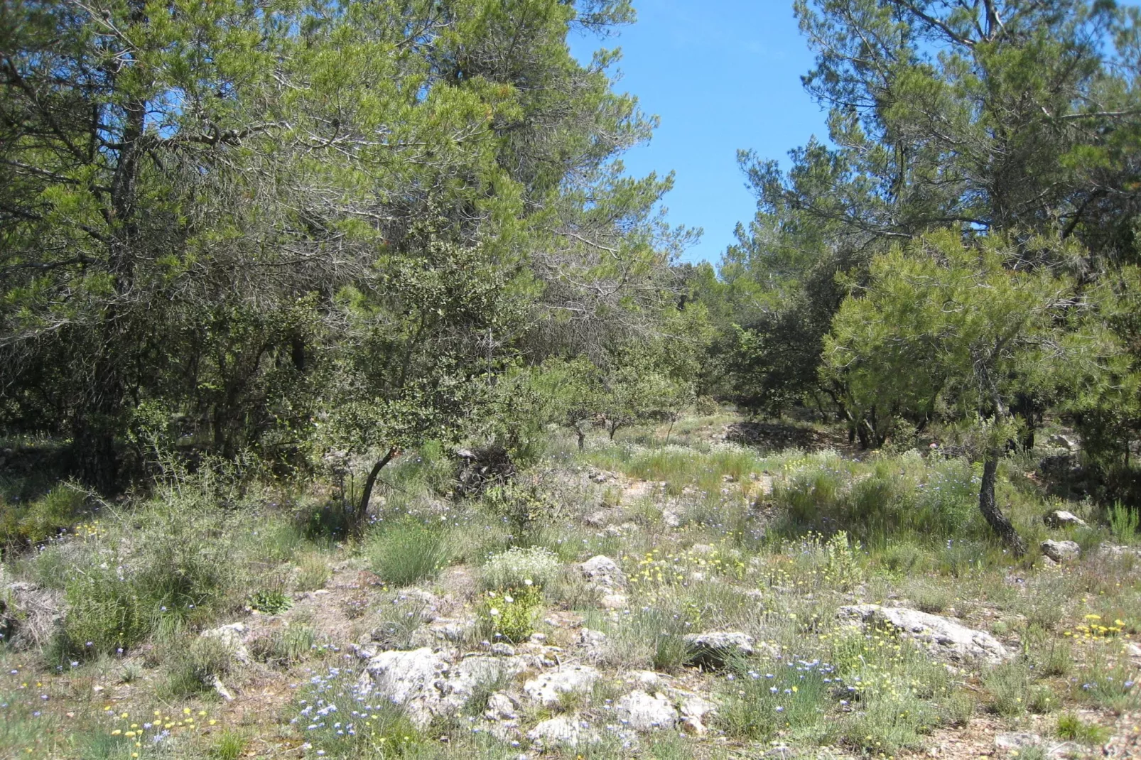 Bergerie Caseneuve-Areas summer 5km