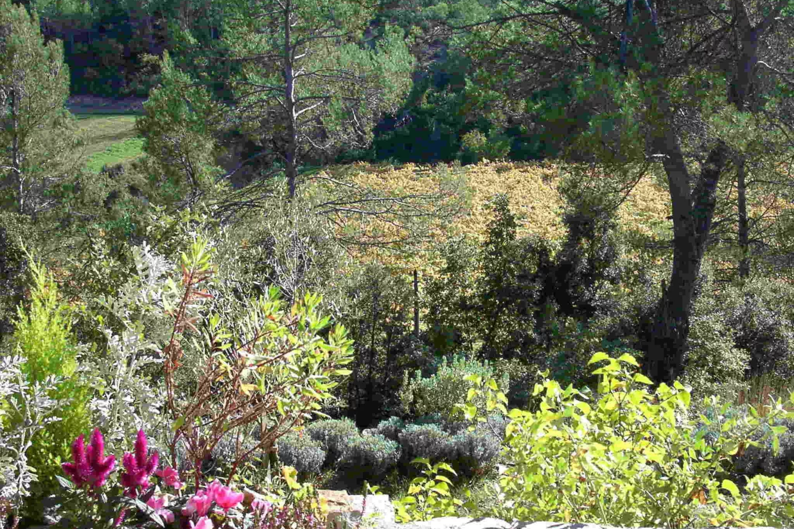 Bergerie Caseneuve-Areas summer 5km