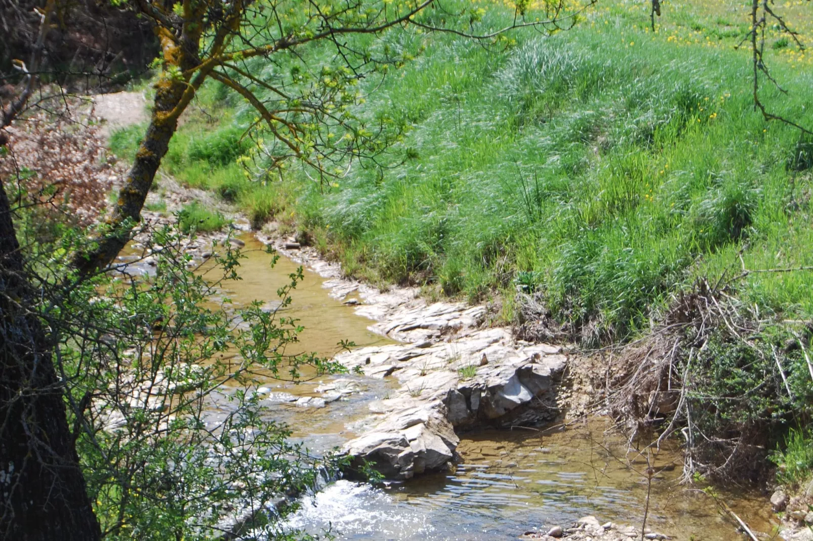Bergerie Caseneuve-Areas summer 5km
