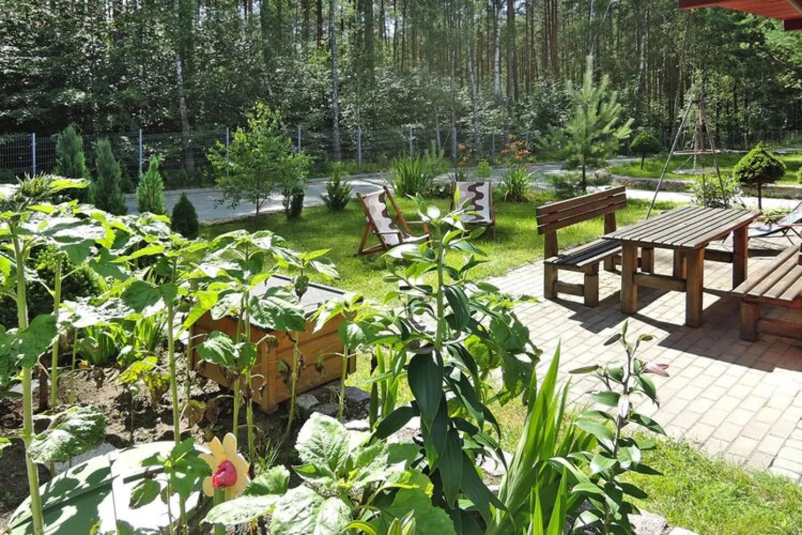 Holiday resort in Wiselka for 5 persons - 55 qm-Jardin d'été