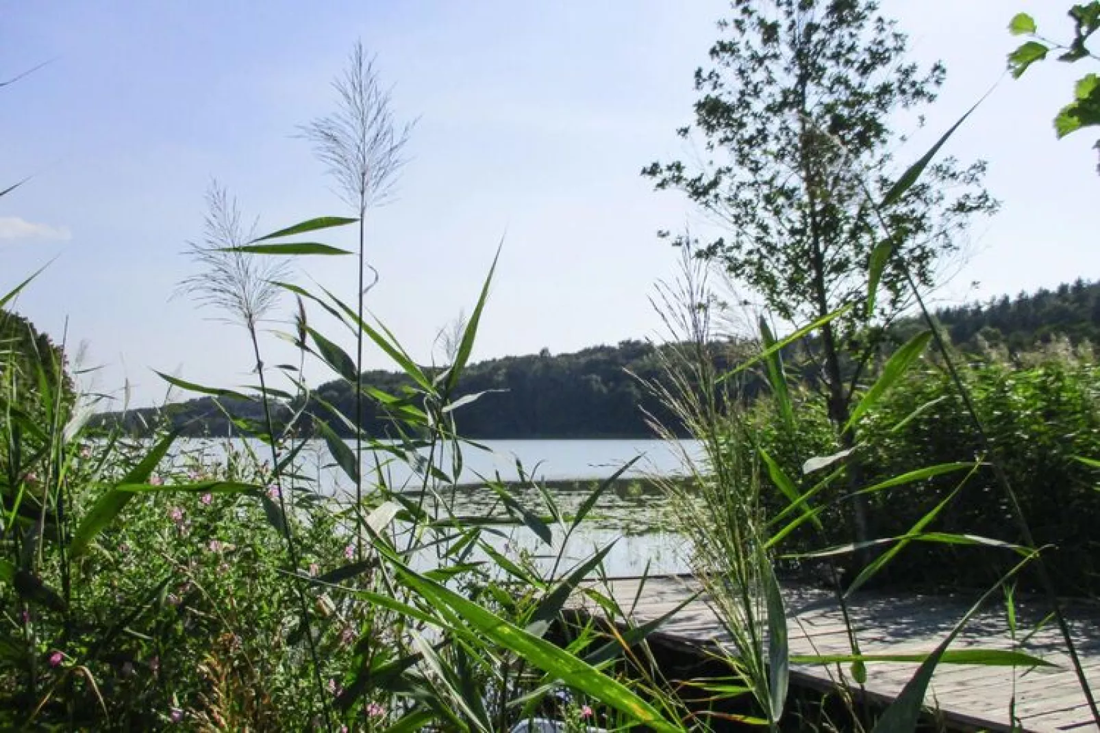 Holiday resort in Wiselka for 3 persons with carpark space-Gardens in summer