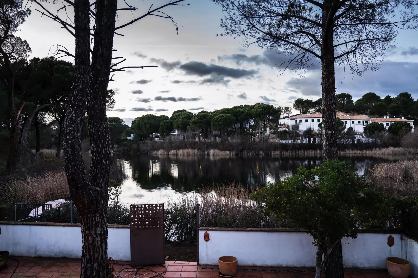 FH in las Jaras - CT 112 5PAX-View summer
