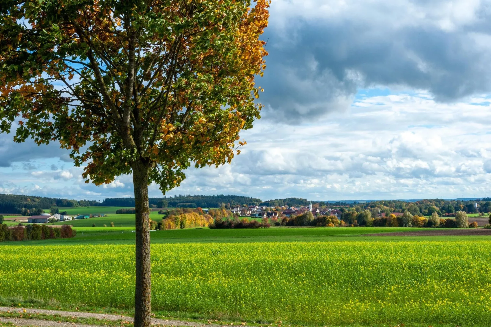 Ferienwohnung Haunsheim - rechts & links-Gebiete Sommer 1 km