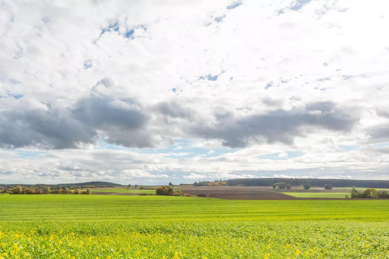 Ferienwohnung Haunsheim - rechts & links-Gebiete Sommer 5 km