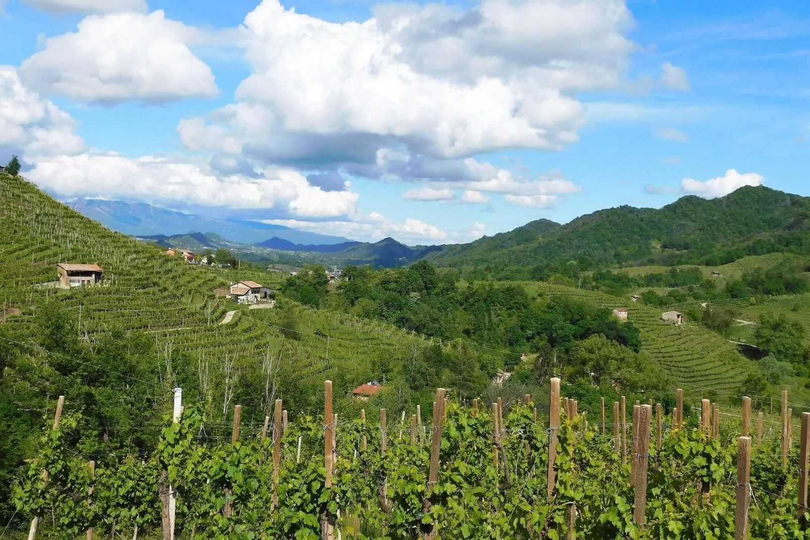 Dolce colle-Areas summer 20km